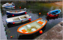 Harbour Boats