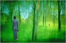 Introspection