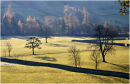 Morning Light Across the Valley