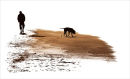 One Man and His Dog