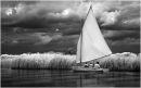 Sailing on the Bure 1