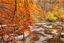 Swirling By