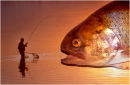 The Catcher Caught