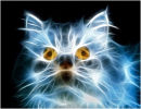 The Electric Cat