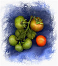 Tomato Swirl