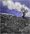 Tyres Tree and Sky