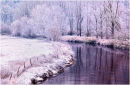 Where the River Bends