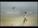 Summer Breeze