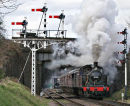 Signals & Smoke