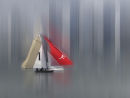 Sailing In Sydney Harbour