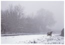 The Cold Bench