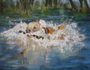 Take the plunge.  Acrylic. SOLD