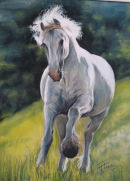 Freedom. Pastel and acrylic. SOLD. Prints available 