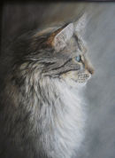 Cat by a window. Pastel and acrylic. SOLD. Prints available.