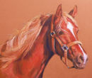Fire. Pastel.