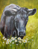 Pamphill Cow, in acrylic.