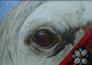 Arab Horse in Acrylic