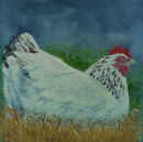 Jasmine, our oldest hen. Acrylic on canvas.