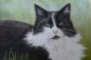 Mina. Commission. Pastel.