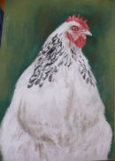 Jasmine. Pastel.