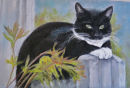 Enzo. Commission. Pastel.