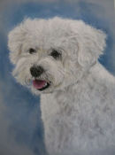 Pippin. A commission. Pastel.