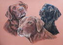 Maisie Millie and Rollo. A commission for Adrienne and Jeremy