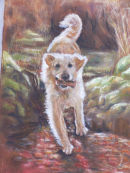 Autumn Gold. Pastel.