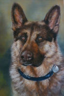 German Shepherd. Pastel