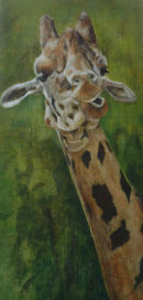 A Long Look. Acrylic on canvas. Sold.
