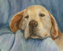 Beauty Sleep. Pastel.