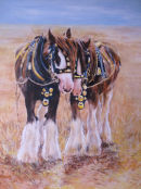 Two Dorset plough horses. Acrylic on Canvas.