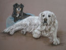 Sally and Pepsi. Pastel.