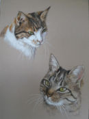 A commission of two lovely cats. Pastel