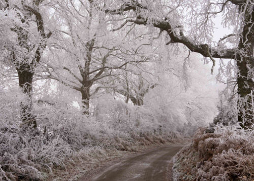 Hampshire Winter