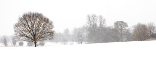 Wiltshire Winter