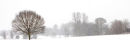 Wiltshire Winter