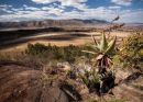 Swaziland