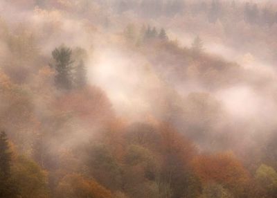 Lake District Autumn