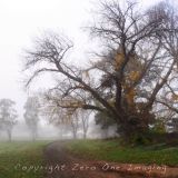 Wollondilly Guardian