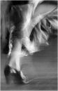 Flamenco 1
