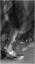 Flamenco 3