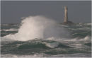 Les Hanois