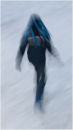 Skater 2