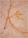 Fresco detail
